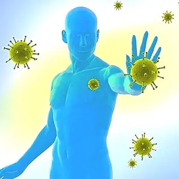 Lidská imunita, její role a význam